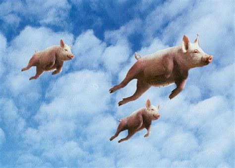 When Pigs Fly Parimatch